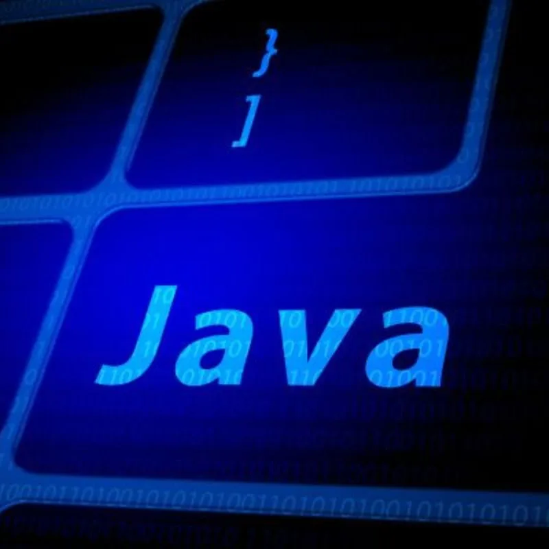 Java Programming NueroVia